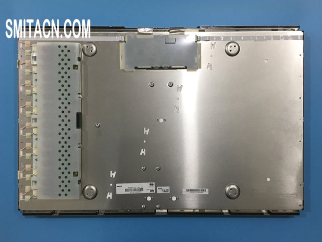 Innolux R300M1-L01 LCD Display Panel