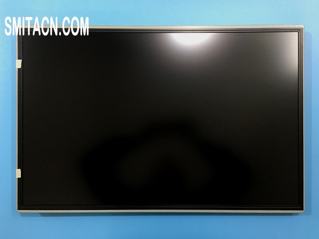 Innolux R300M1-L01 LCD Display Panel